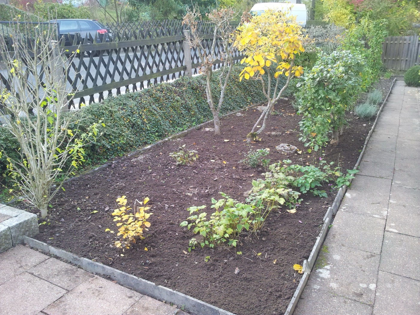 Frisch angelegtes Beet mit Hecke und neuer Bepflanzung — Gartenbau von double B green