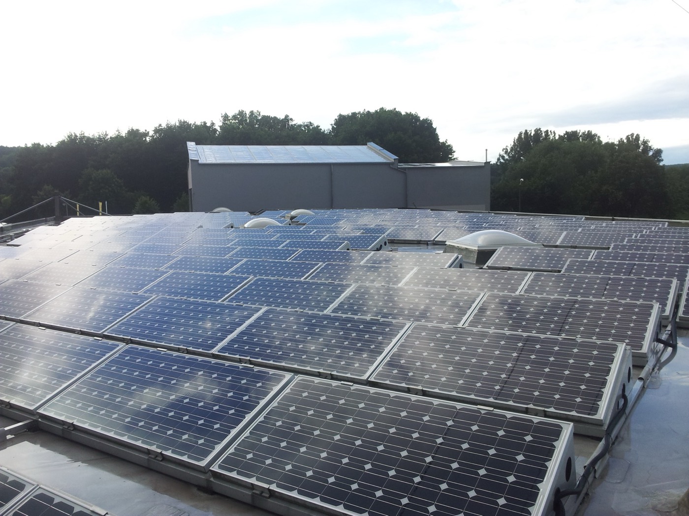 Photovoltaik-Anlage auf einem Flachdach nach der Reinigung